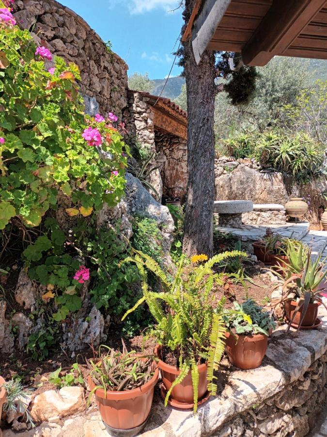 Aphrodite'S Maisonette On Corfu Island Barbáti Eksteriør bilde